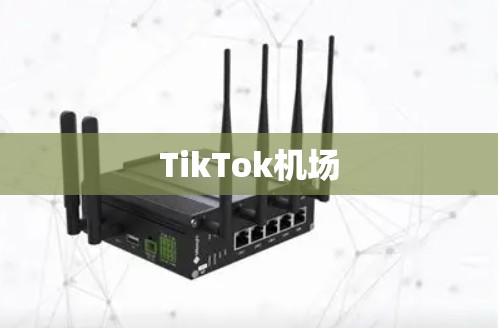 TikTok机场 TikTok机场