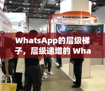 WhatsApp的层级梯子,层级递增的 WhatsApp模式 WhatsApp的层级梯子,层级递增的 WhatsApp模式