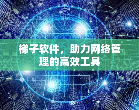 梯子软件,助力网络管理的高效工具 梯子软件,助力网络管理的高效工具