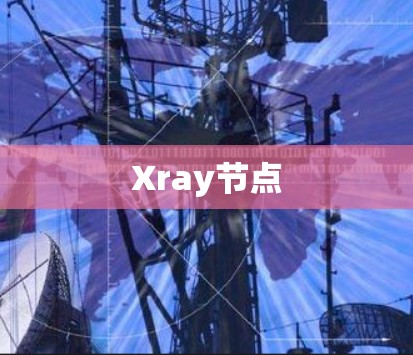 Xray节点 Xray节点