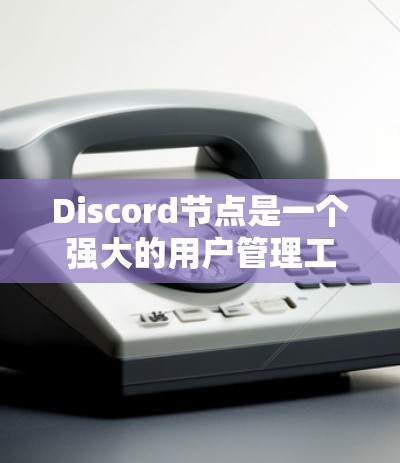 Discord节点是一个强大的用户管理工具，允许用户创建并管理多个群组和节点，以支持多种社交互动和内容管理需求。以下是Discord节点的主要功能和使用方法