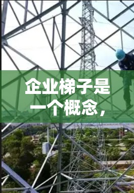 企业梯子是一个概念，通常用于描述企业之间通过合作、联盟、战略或资源整合形成的层级结构。它帮助企业在资源、技术和市场等多个方面建立联系，实现互利共赢。以下是对企业梯子的详细解释
