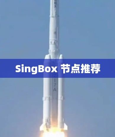 SingBox 节点推荐 SingBox 节点推荐