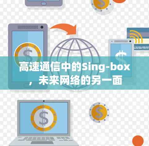 高速通信中的Sing-box,未来网络的另一面 高速通信中的Sing-box,未来网络的另一面