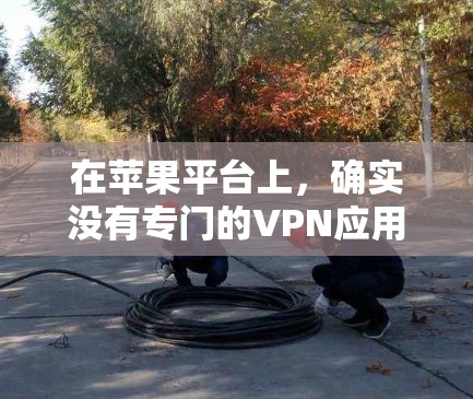 在苹果平台上,确实没有专门的VPN应用。然而,你可以通过以下方法来使用高速VPN服务 在苹果平台上,确实没有专门的VPN应用。然而,你可以通过以下方法来使用高速VPN服务