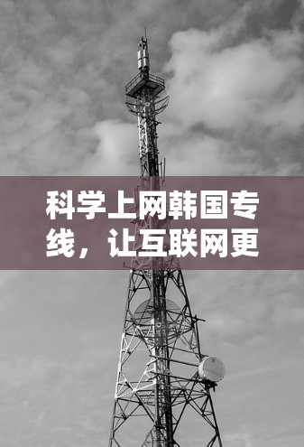科学上网韩国专线,让互联网更高效 科学上网韩国专线,让互联网更高效