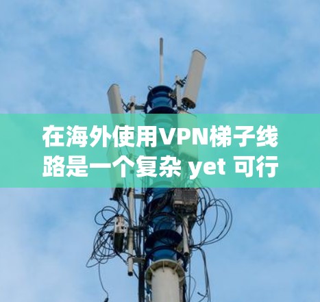 在海外使用VPN梯子线路是一个复杂 yet 可行的解决方案,以下是对该问题的详细分析和总结 在海外使用VPN梯子线路是一个复杂 yet 可行的解决方案,以下是对该问题的详细分析和总结