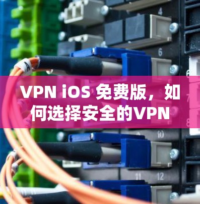 VPN iOS 免费版,如何选择安全的VPN方式?