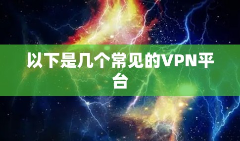 以下是几个常见的VPN平台 以下是几个常见的VPN平台