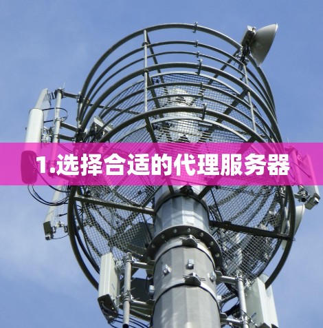 1.选择合适的代理服务器