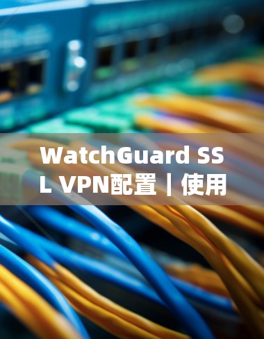 WatchGuard SSL VPN配置|使用指南