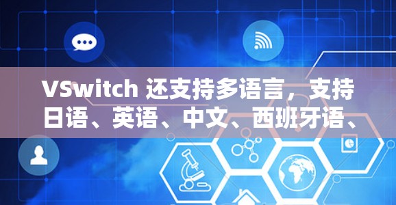 VSwitch 还支持多语言，支持日语、英语、中文、西班牙语、法语、德语、俄语、意大利语、西班牙语、日语、瑞典语、挪威语等等，这使得它适合全球用户使用