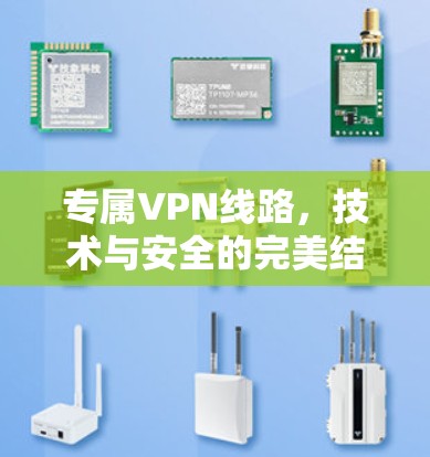 专属VPN线路,技术与安全的完美结合 专属VPN线路,技术与安全的完美结合