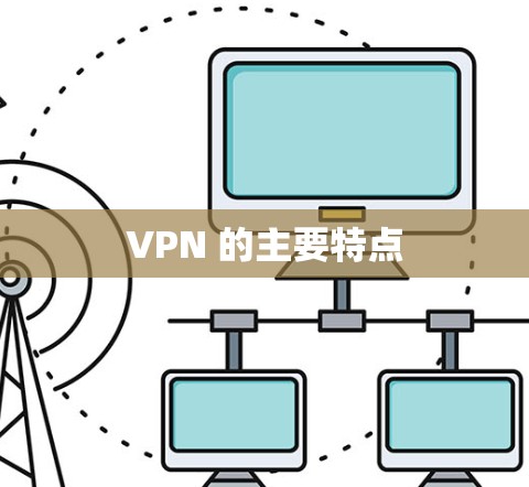 VPN 的主要特点 VPN 的主要特点
