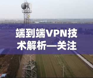 端到端VPN技术解析—关注移动端适配 端到端VPN技术解析—关注移动端适配