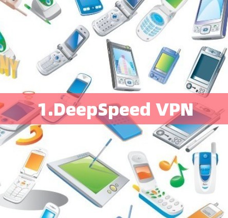 1.DeepSpeed VPN 1.DeepSpeed VPN