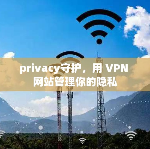 privacy守护,用 VPN 网站管理你的隐私 privacy守护,用 VPN 网站管理你的隐私