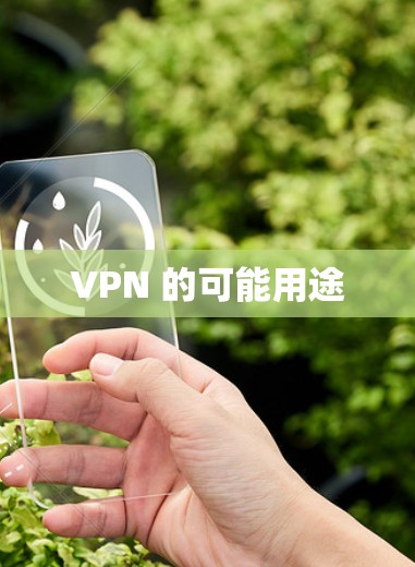 VPN 的可能用途 VPN 的可能用途
