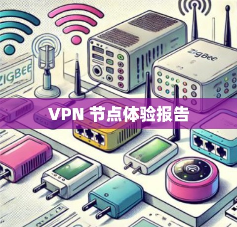 VPN 节点体验报告 VPN 节点体验报告