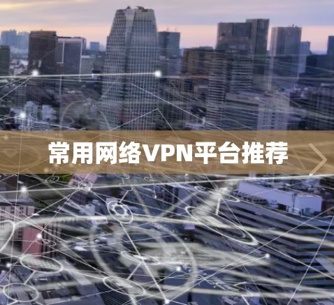 常用网络VPN平台推荐 常用网络VPN平台推荐