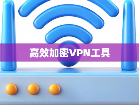 高效加密VPN工具 高效加密VPN工具
