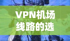 VPN机场线路的选择是根据用户的具体需求、地理位置和使用的场景来决定的。以下是一些关键点和建议,帮助您更好地选择VPN机场 VPN机场线路的选择是根据用户的具体需求、地理位置和使用的场景来决定的。以下是一些关键点和建议,帮助您更好地选择VPN机场