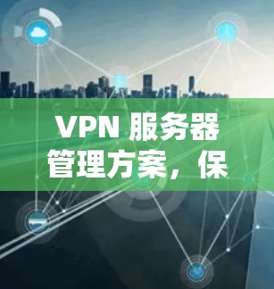 VPN 服务器管理方案,保障网络安全的创新实践 VPN 服务器管理方案,保障网络安全的创新实践