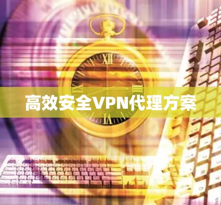 高效安全VPN代理方案 高效安全VPN代理方案