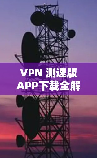 VPN 测速版APP下载全解析