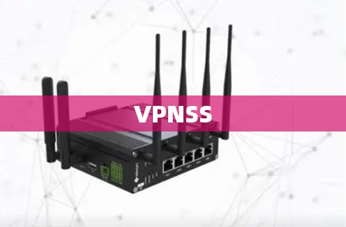 VPNSS VPNSS