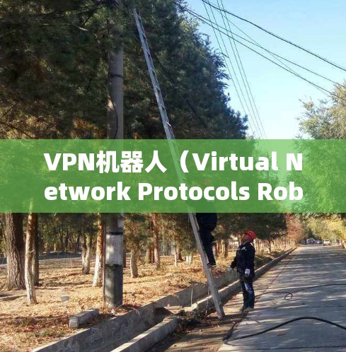 VPN机器人（Virtual Network Protocols Robot）作为一种模拟VPN环境下的机器人，其性能主要取决于以下几个方面